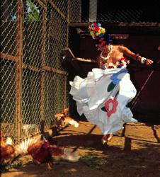 having fun with the exotic chickens