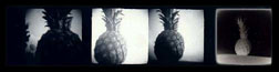 pineapples